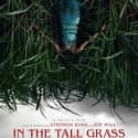 In the Tall Grass on Random Best Netflix Original Horror Movies