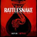 Rattlesnake on Random Best Black Horror Movies