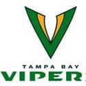Tampa Bay Vipers on Random New Team In  XFL
