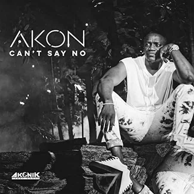 The Best Akon Albums Ever, Ranked By Fans