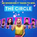 The Circle on Random Best TV Shows If You Love 'Love Island'