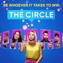 The Circle on Random TV Shows For 'Too Hot To Handle' Fans