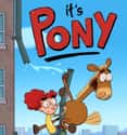 It's Pony on Random Best Horse Cartoons