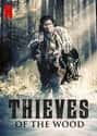 Thieves of the Wood on Random TV Series To Watch After 'Knightfall'