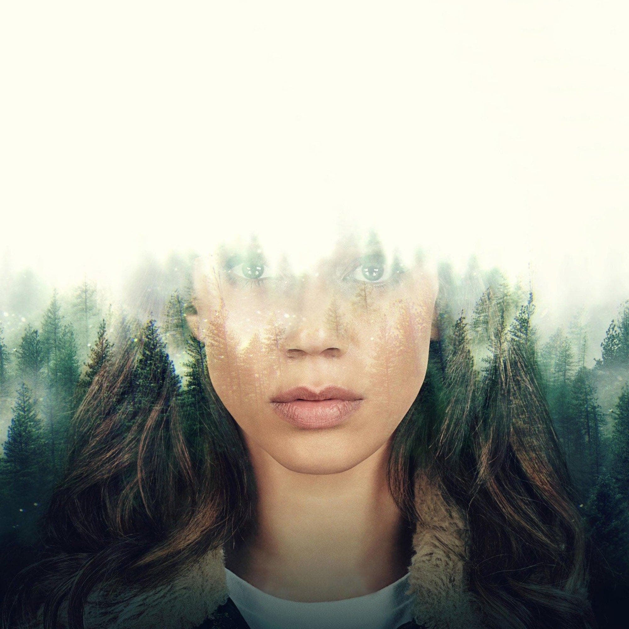 The 50 Best Movies & Shows Like 