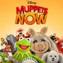 Muppets Now on Random Best Puppet TV Shows