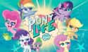 My Little Pony: Pony Life on Random Best Horse Cartoons