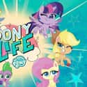 My Little Pony: Pony Life on Random Best Current TV Shows the Whole Family Can Enjoy