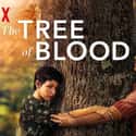 The Tree of Blood on Random Best LGBTQ+ Movies Streaming On Netflix