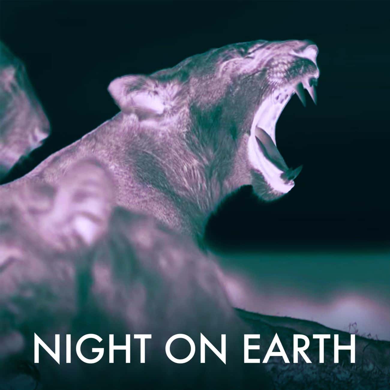 Night On Earth