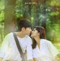 Forest on Random Most Romantic Korean Dramas
