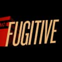 The Fugitive on Random Best Conspiracy Shows on TV Right Now