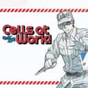Cells at Work! on Random Most Popular Anime Right Now