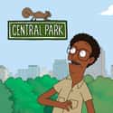 Central Park on Random Best Adult Animated Shows