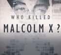 Who Killed Malcolm X? on Random Best New Conspiracy TV Shows of the Last Few Years