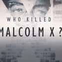 Who Killed Malcolm X? on Random Best New Conspiracy TV Shows of the Last Few Years