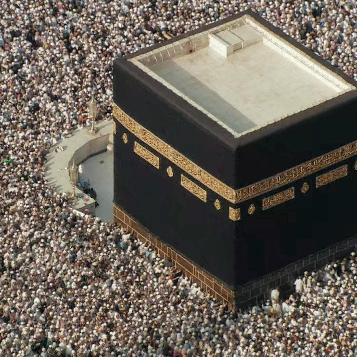 Who Killed Malcolm X?