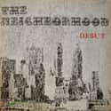 The Neighbourhood on Random Best Indie Folk Bands and Artists