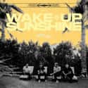 Wake Up, Sunshine on Random Best New Punk Albums Of 2020