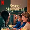 Sweet Magnolias on Random Greatest TV Shows About Best Friends
