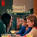 Sweet Magnolias on Random Greatest TV Shows About Small Towns