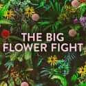 The Big Flower Fight on Random Best Current Shows You Can Watch With Your Mom