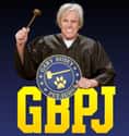 Gary Busey: Pet Judge on Random Best Guilty Pleasure TV Shows