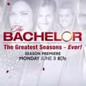 The Bachelor: The Greatest Seasons - Ever! on Random Best Guilty Pleasure TV Shows