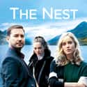 The Nest on Random Very Best British Crime Dramas