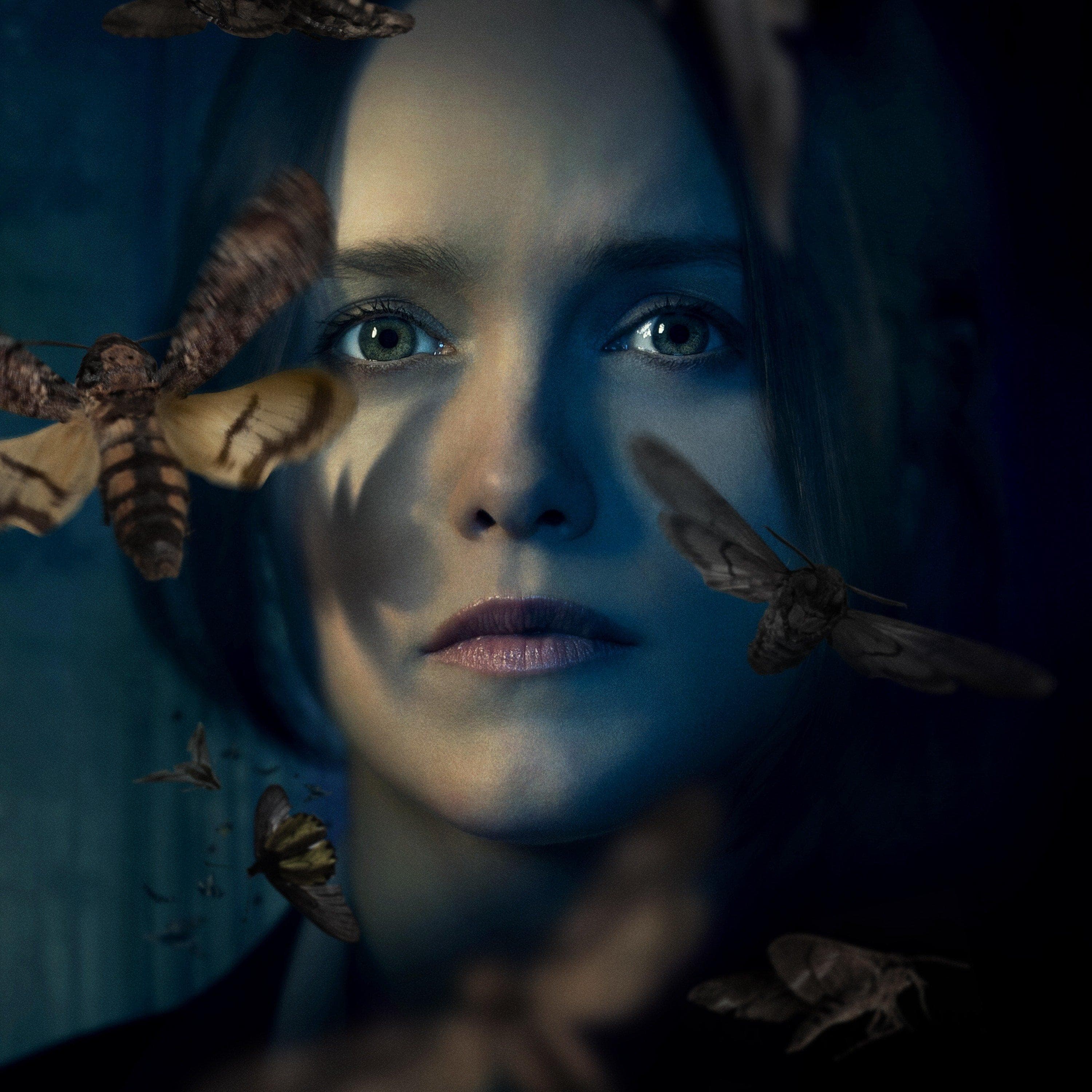 25+ Best Movies & Shows Like 'Vera'