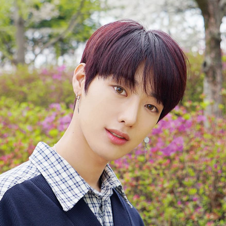 11 INTP K-pop Idols & Korean Celebs