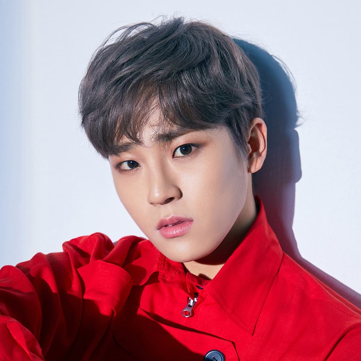 12 ENTJ K-pop Idols & Korean Celebs