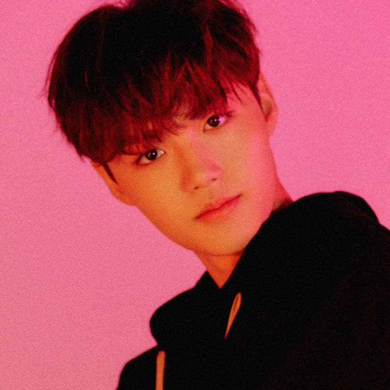 20 K-pop Idols Who Are ENTJ, Ranked By Fans