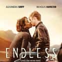 Endless on Random Best New Romance Movies of Last Few Years