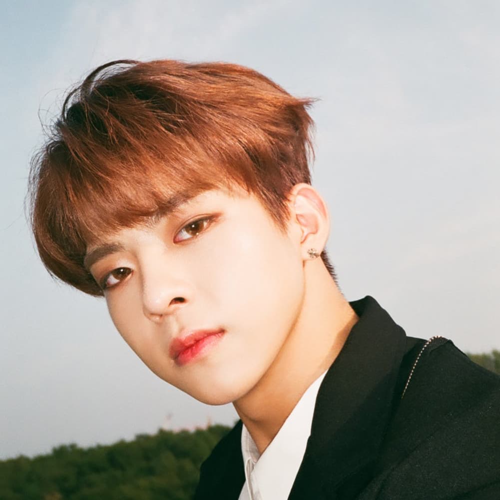 10 INTJ K-pop Idols & Korean Celebs