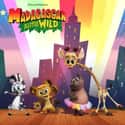 Madagascar: A Little Wild on Random Best Cat Cartoons