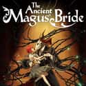The Ancient Magus' Bride on Random Best Anime On Crunchyroll