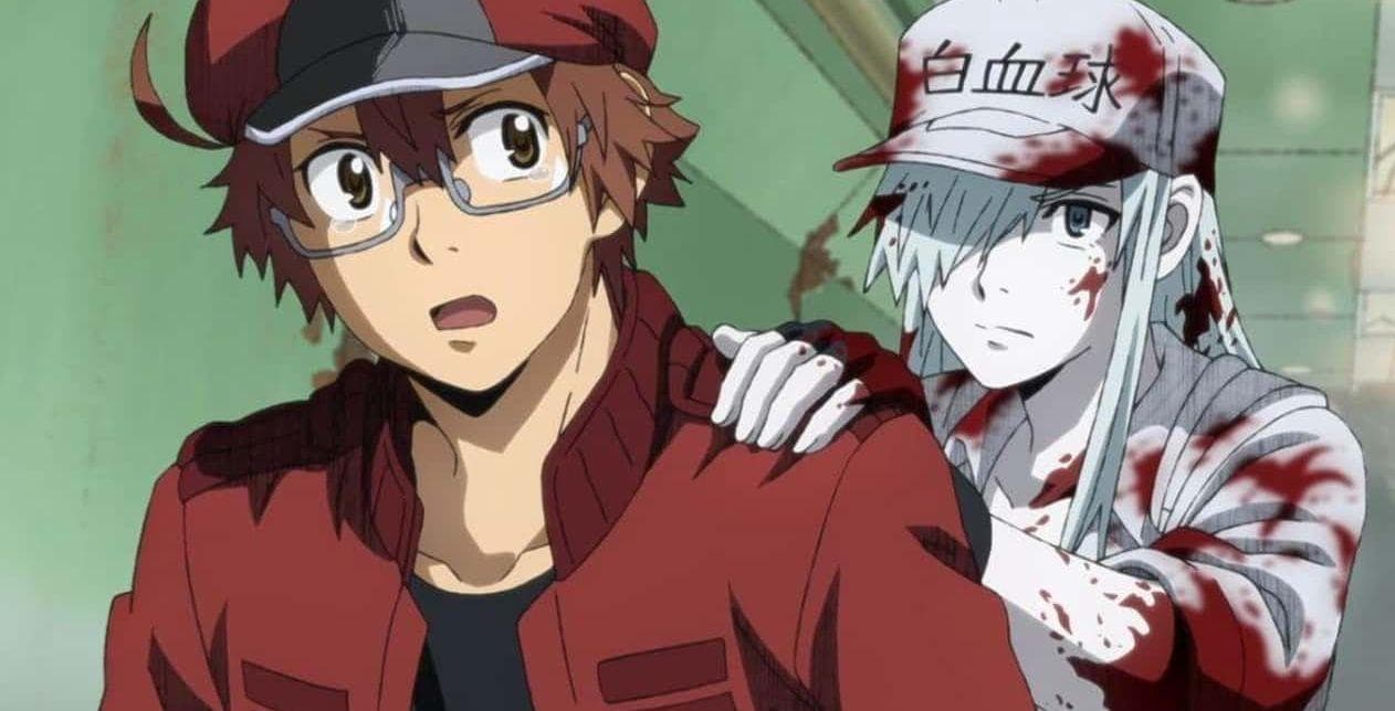 Cells at Work! Code Black