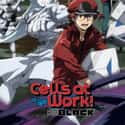 Cells at Work! Code Black on Random Most Popular Anime Right Now