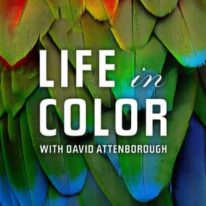Life in Color With David Attenborough