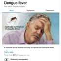 Dengue fever on Random Weird Medical Drawings Google Thinks You Need