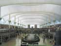 Denver International Airport on Random Cool And Thoughtful Amenities At Airports Around World