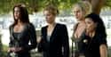 Desperate Housewives on Random Dark On-Set Drama Behind Scenes Of Hit TV Shows