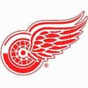 Detroit Red Wings on Random Best Sports Franchises