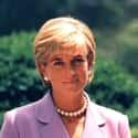 Diana, Princess of Wales on Random Celebrities Who Have Been In Terrible Car Accidents