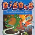 Dig Dug on Random Best Classic Video Games