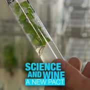 Science and Wine: A New Pact