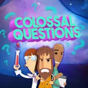 Colossal Questions