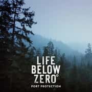 Life Below Zero: Port Protection