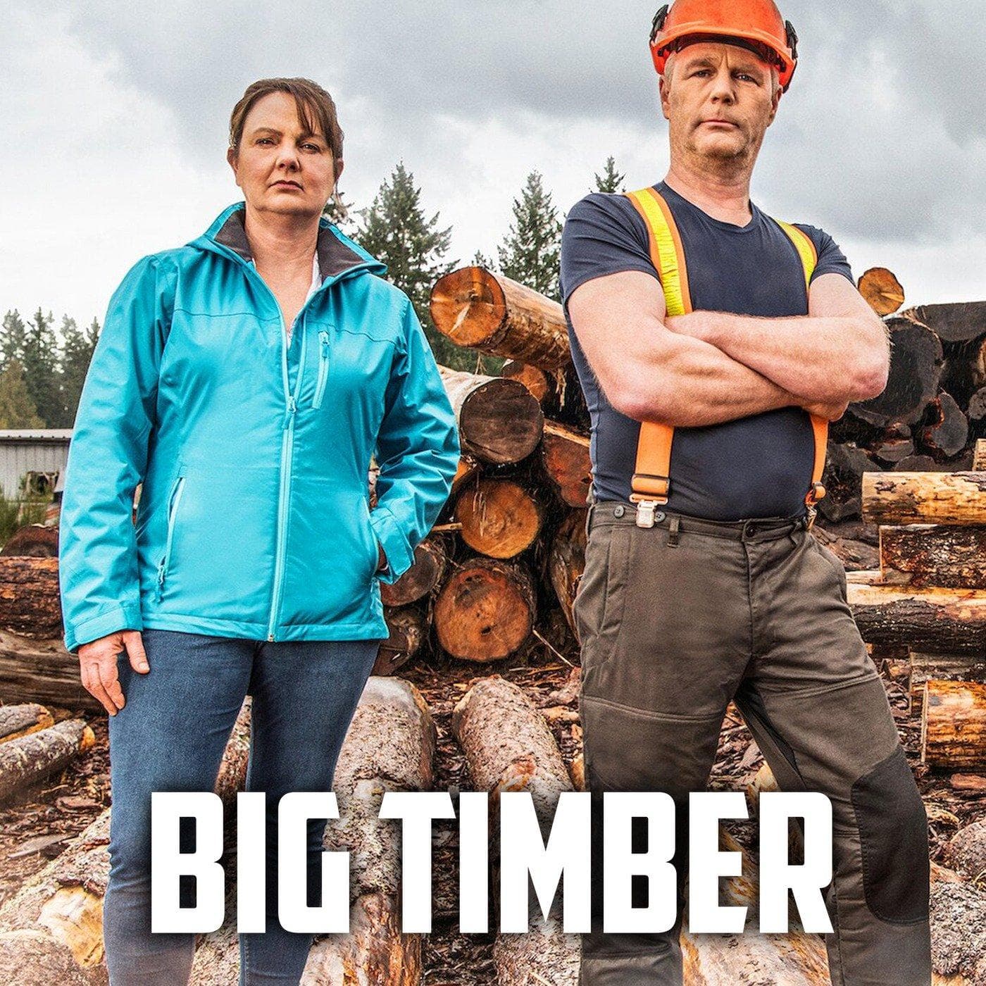 The 5 Best TV Shows About Logging